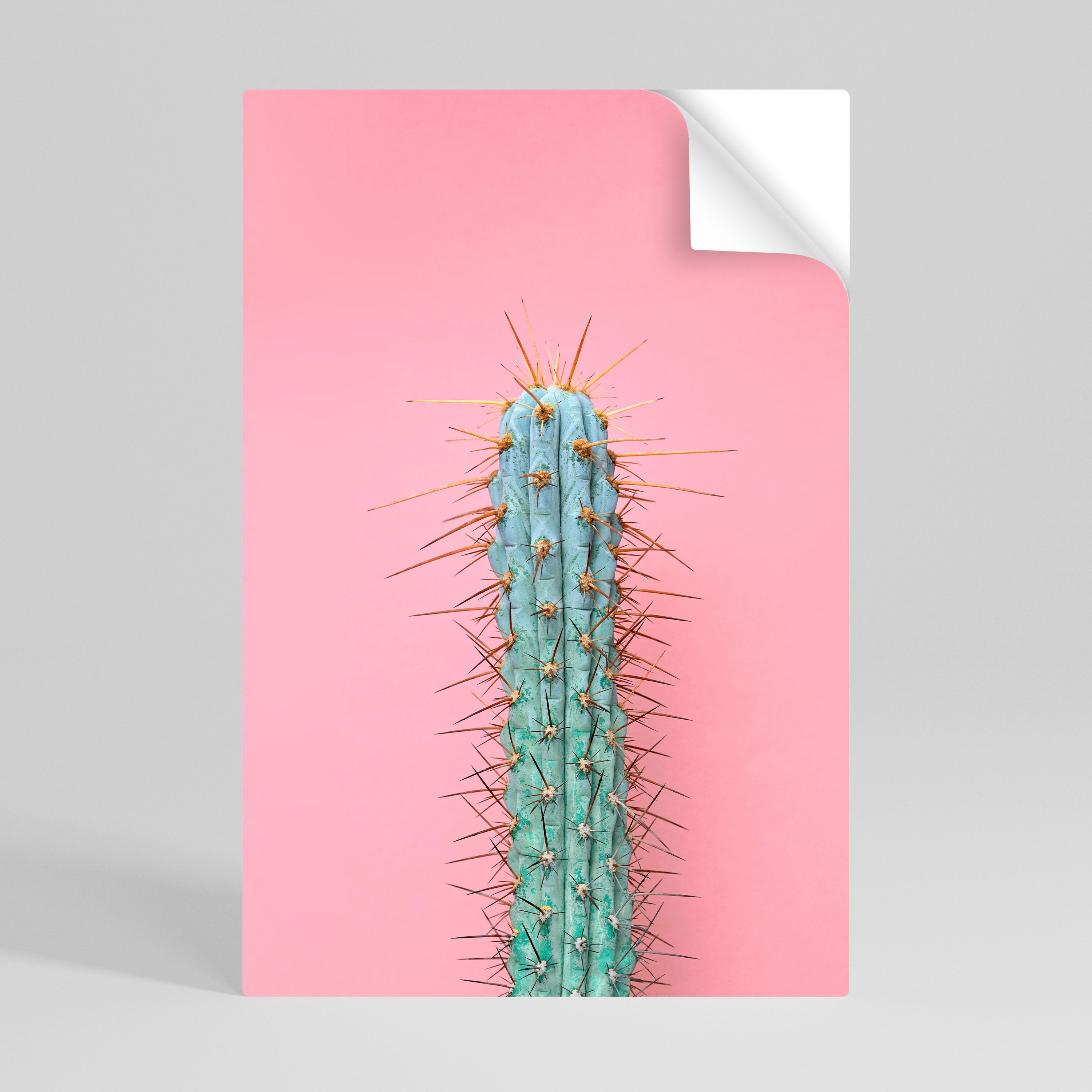 MISTER CACTUS Vertikales Poster zum Abziehen und Aufkleben