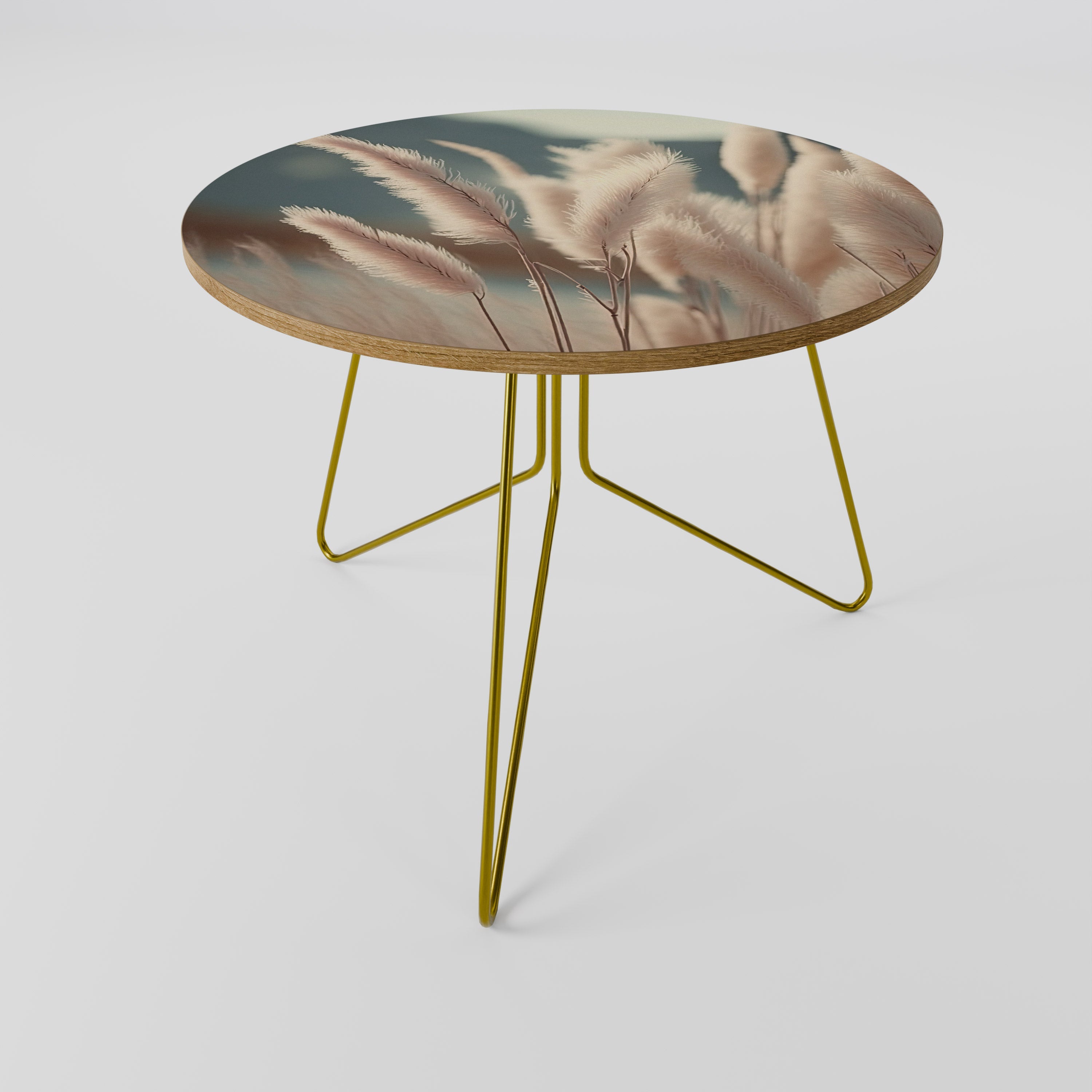 PAMPAS DREAMSCAPE Coffee Table 69