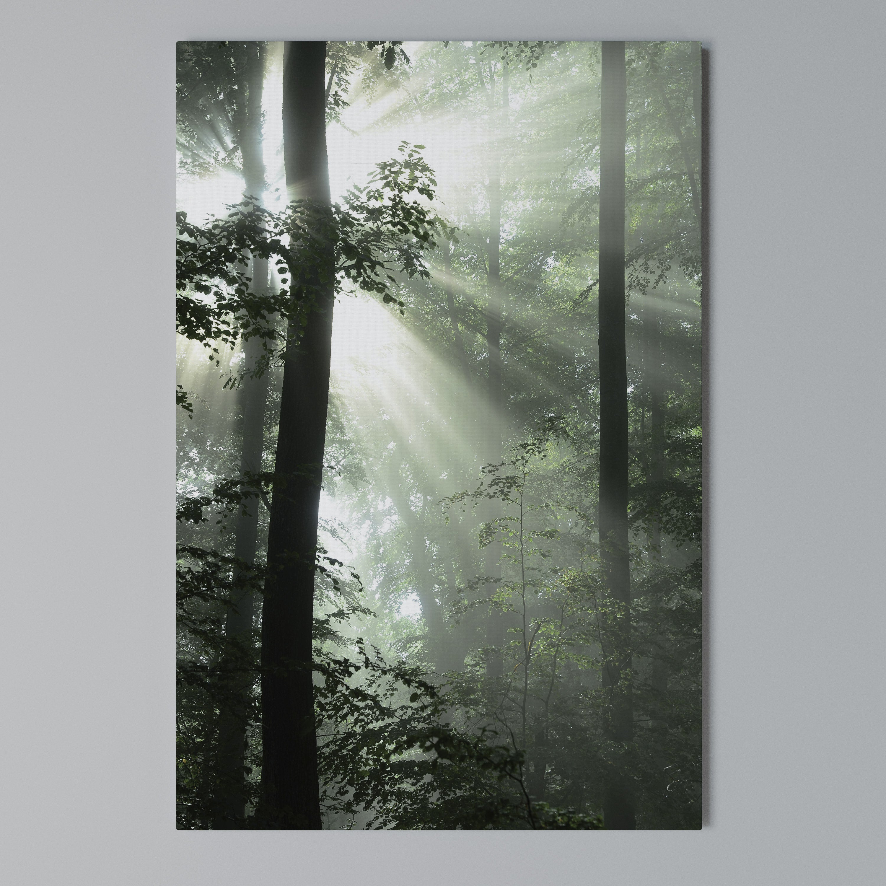MYSTICAL SUNBEAMS Vertical Canvas Print