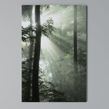 MYSTICAL SUNBEAMS Vertical Canvas Print
