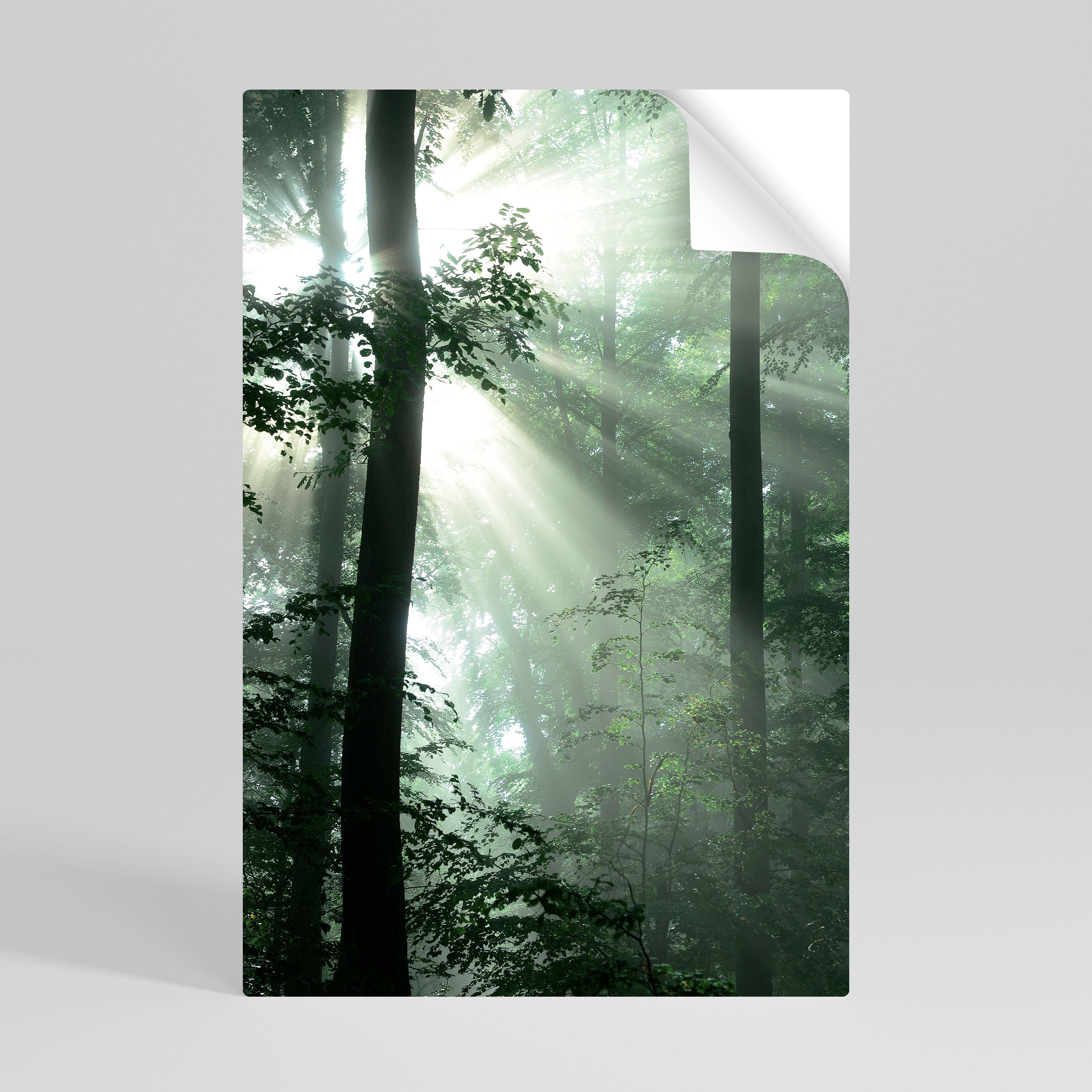 MYSTICAL SUNBEAMS Vertikales Poster zum Abziehen und Aufkleben