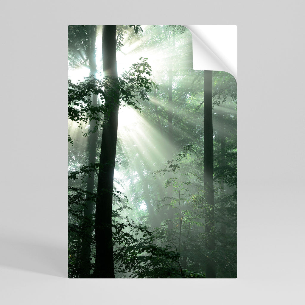MYSTICAL SUNBEAMS Vertikales Poster zum Abziehen und Aufkleben
