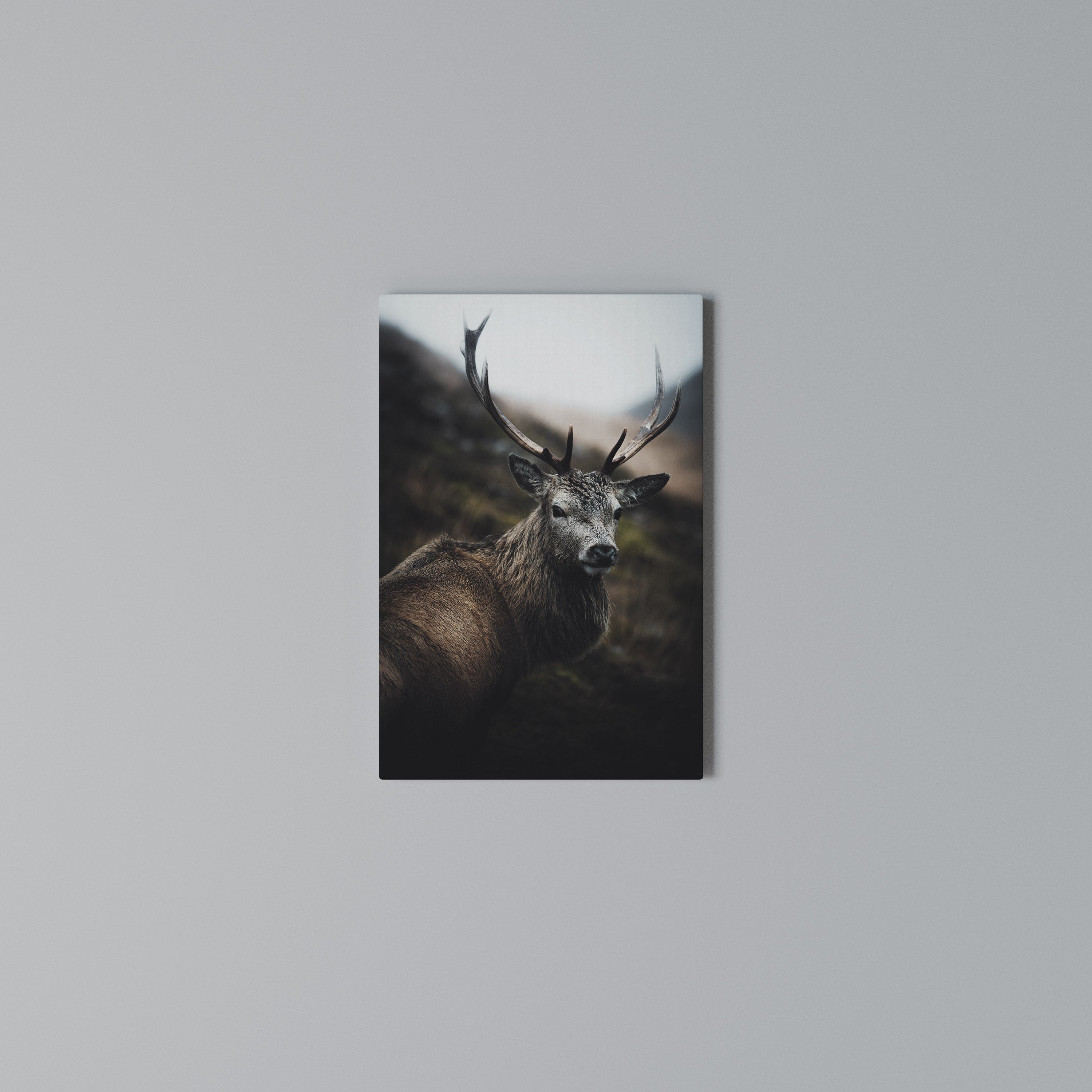 ELEGANT WILDERNESS GUARDIAN Vertical Canvas Print