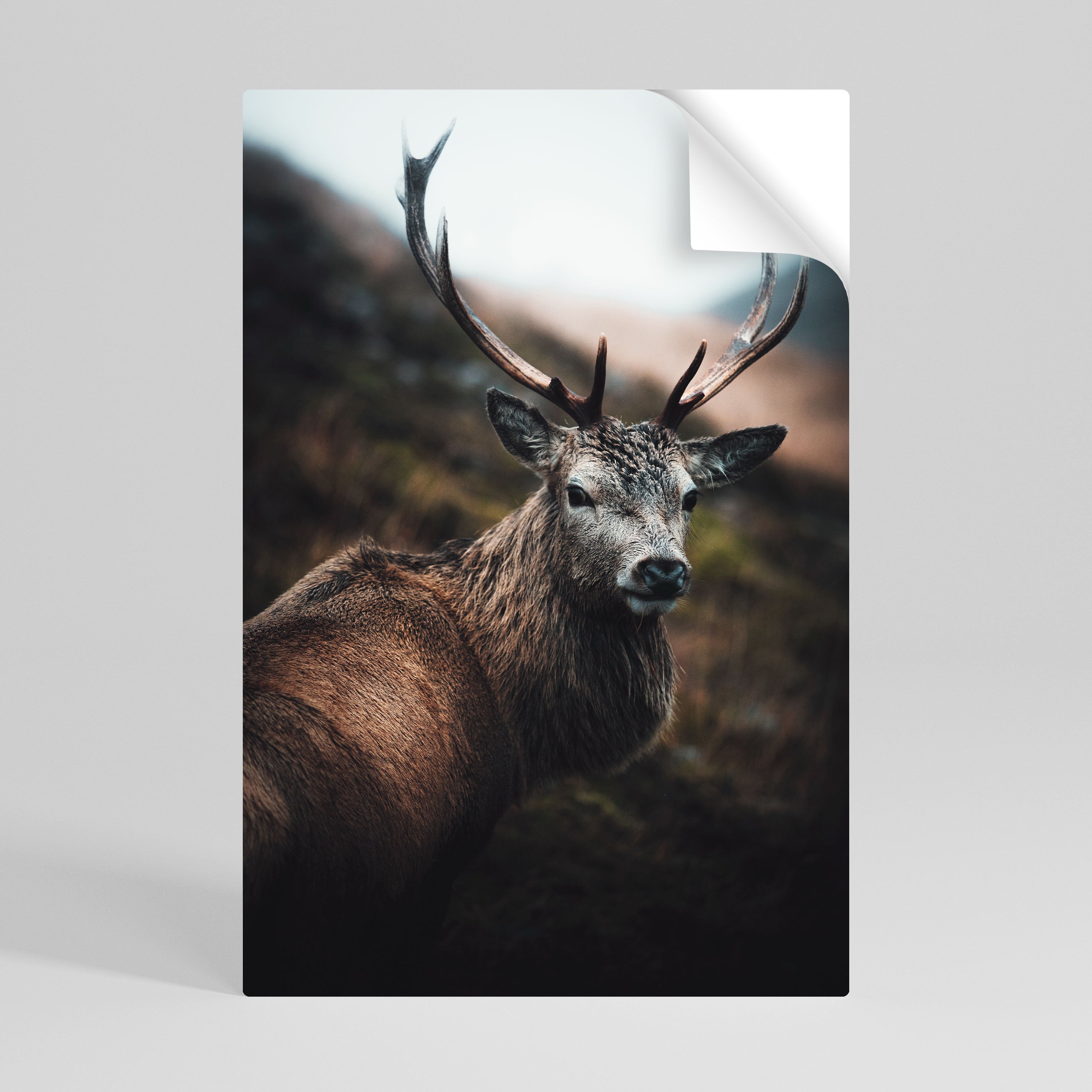 Elegantes, vertikales Poster „Wilderness Guardian“ zum Abziehen und Aufkleben