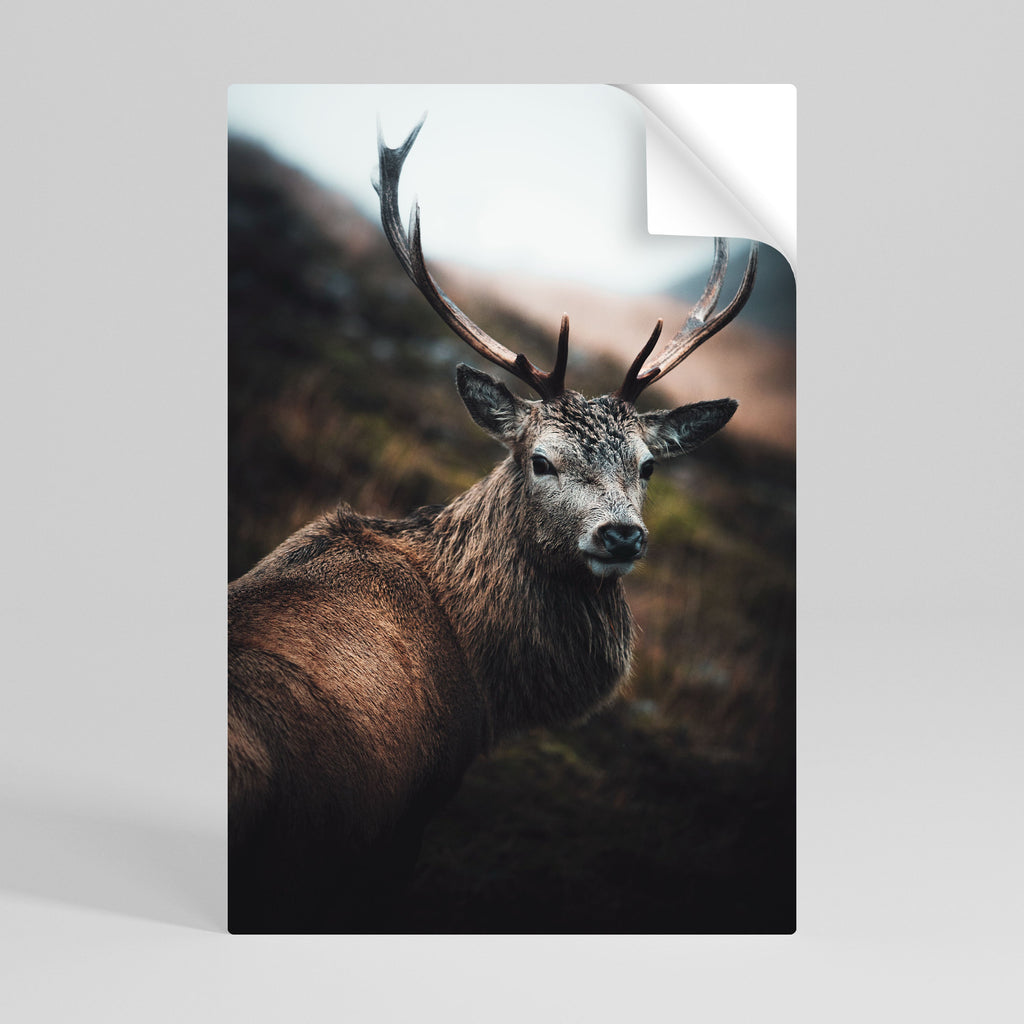 Elegantes, vertikales Poster „Wilderness Guardian“ zum Abziehen und Aufkleben