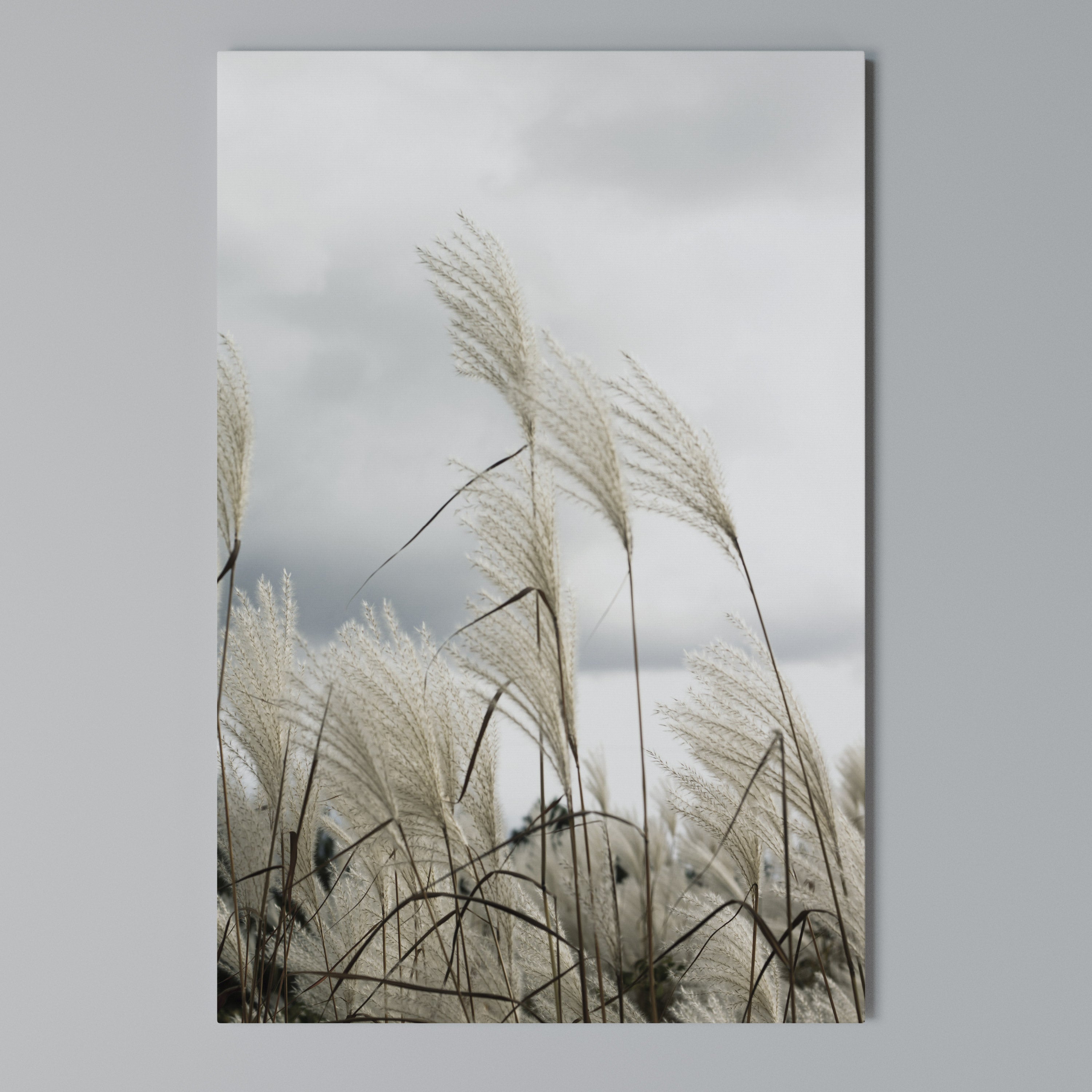 CLOUDS ABOVE GRASS Vertical Canvas Print