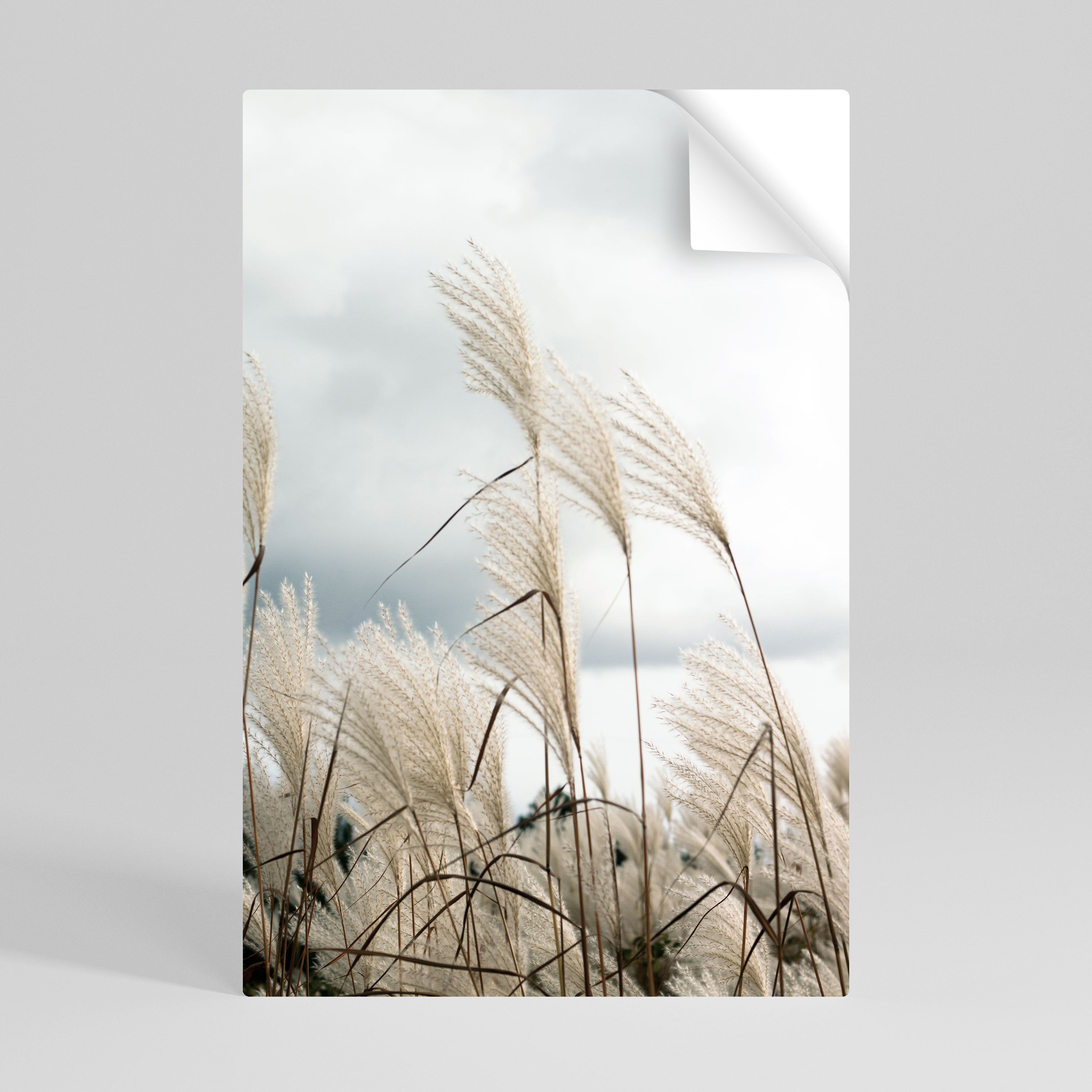 WOLKEN ÜBER DEM GRAS Vertikales Poster zum Abziehen und Aufkleben