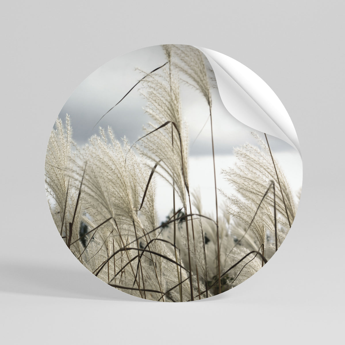 CLOUDS ABOVE GRASS Runder Wandsticker zum Abziehen und Aufkleben