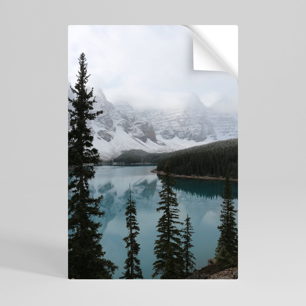 MISTY FOREST BOUNDARIES Vertikales Poster zum Abziehen und Aufkleben
