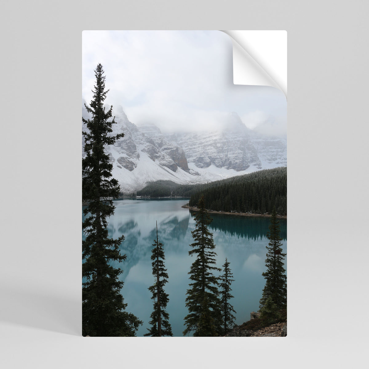 MISTY FOREST BOUNDARIES Selbstklebendes Poster - Hochformat