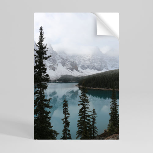 MISTY FOREST BOUNDARIES Selbstklebendes Poster - Hochformat