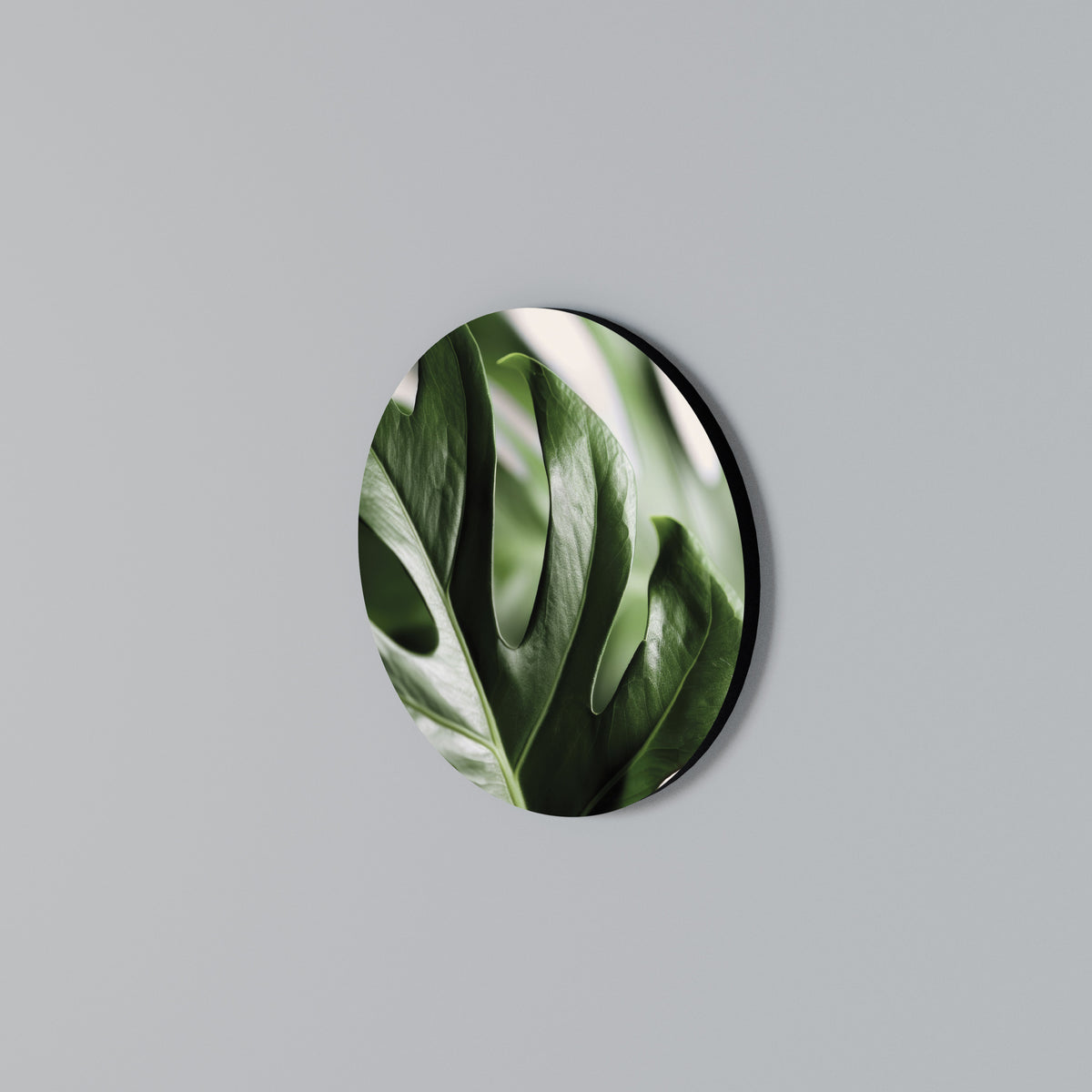 SHARP MONSTERA Rundes Wandbild