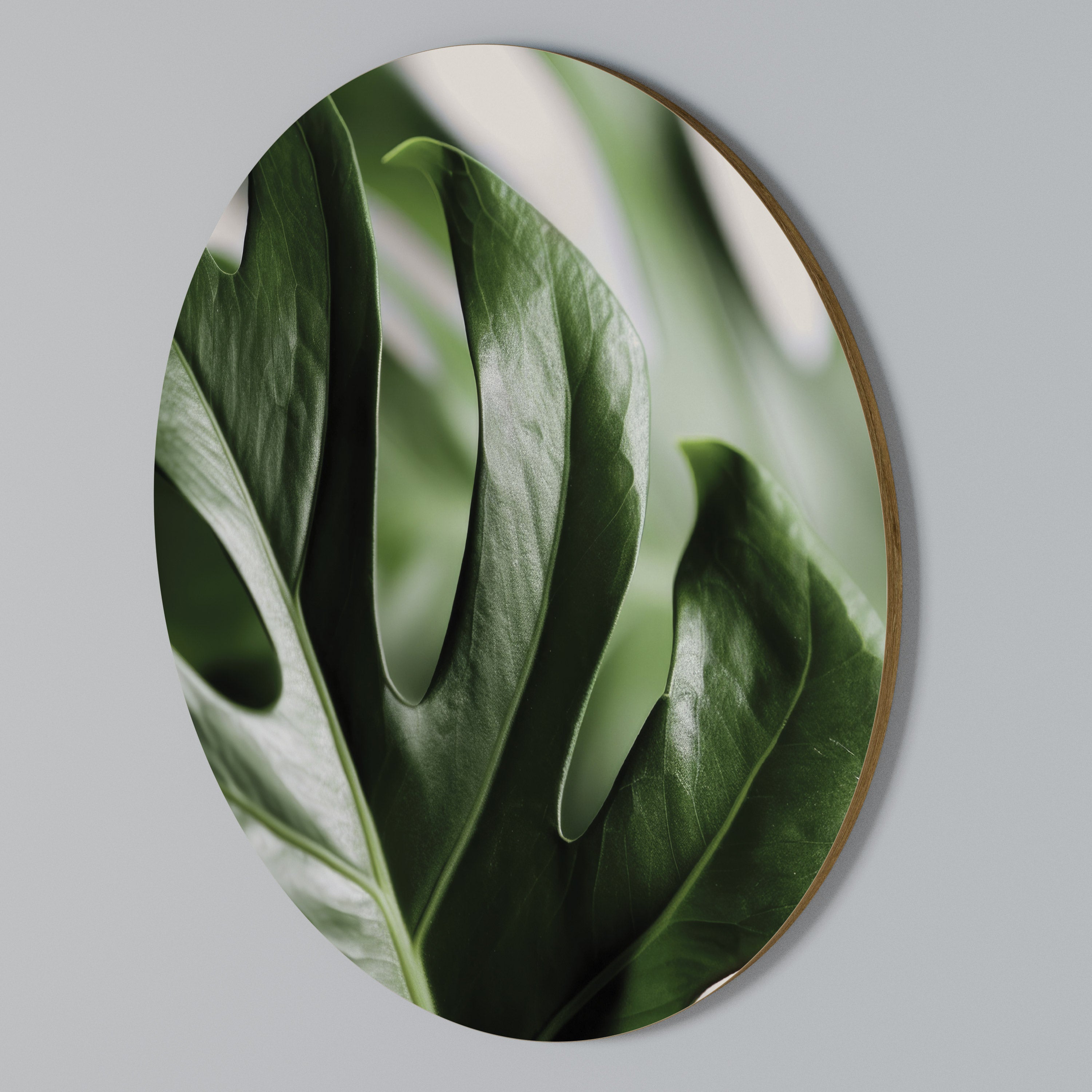 SHARP MONSTERA Rundes Wandbild