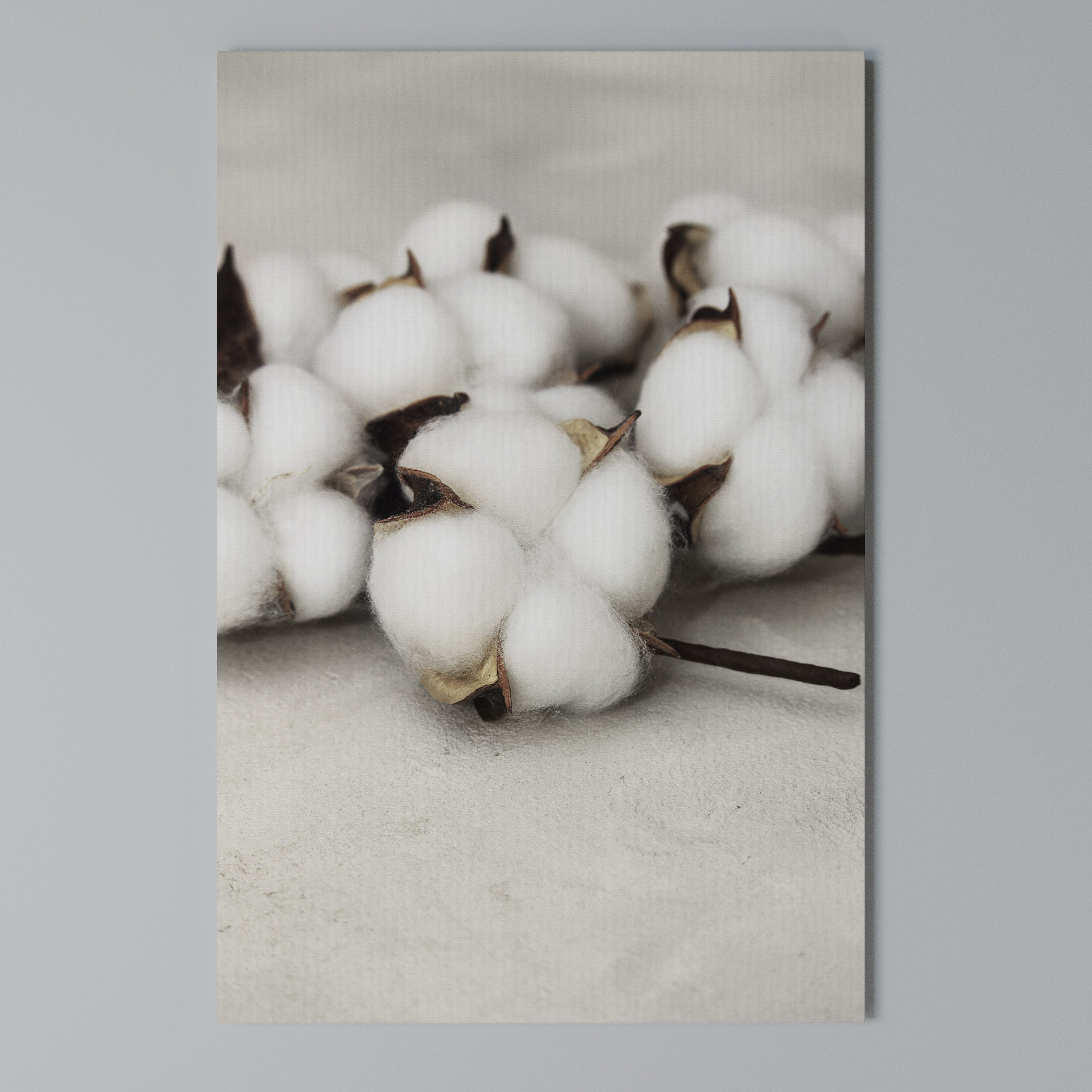 COTTON CLOUDS WHISPERS Vertical Canvas Print