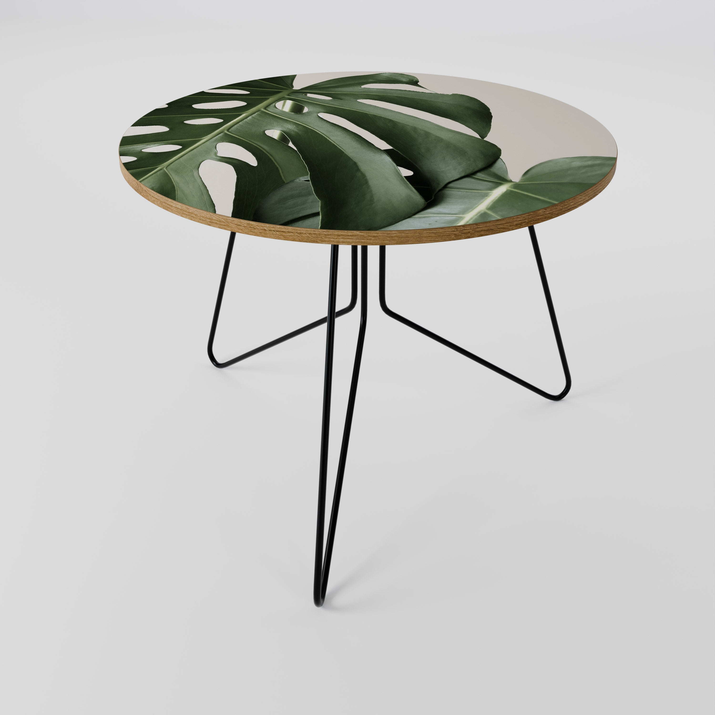 MONSTERA ACCURACY Coffee Table 69
