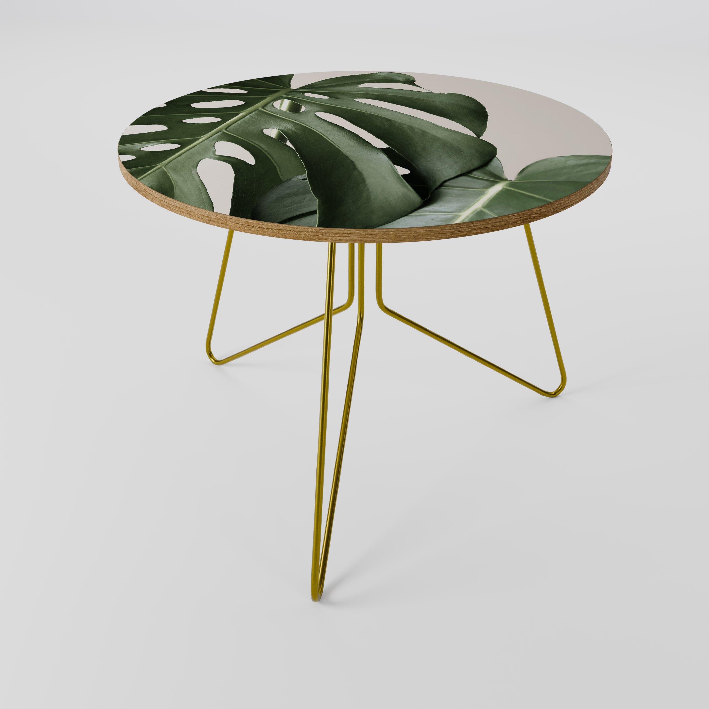 MONSTERA ACCURACY Coffee Table 69