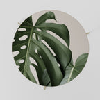 MONSTERA ACCURACY Couchtisch Ø 69 cm