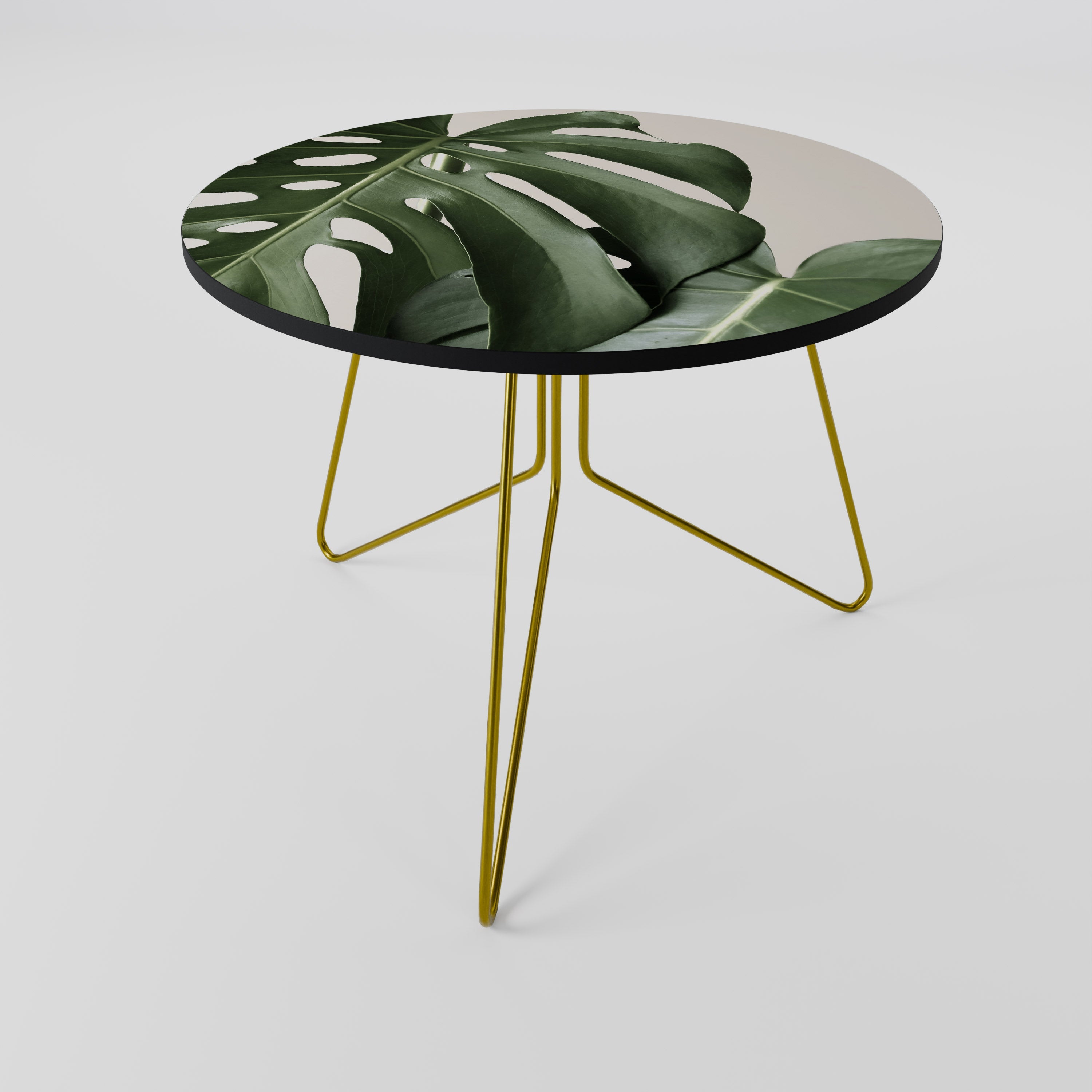 MONSTERA ACCURACY Coffee Table 69