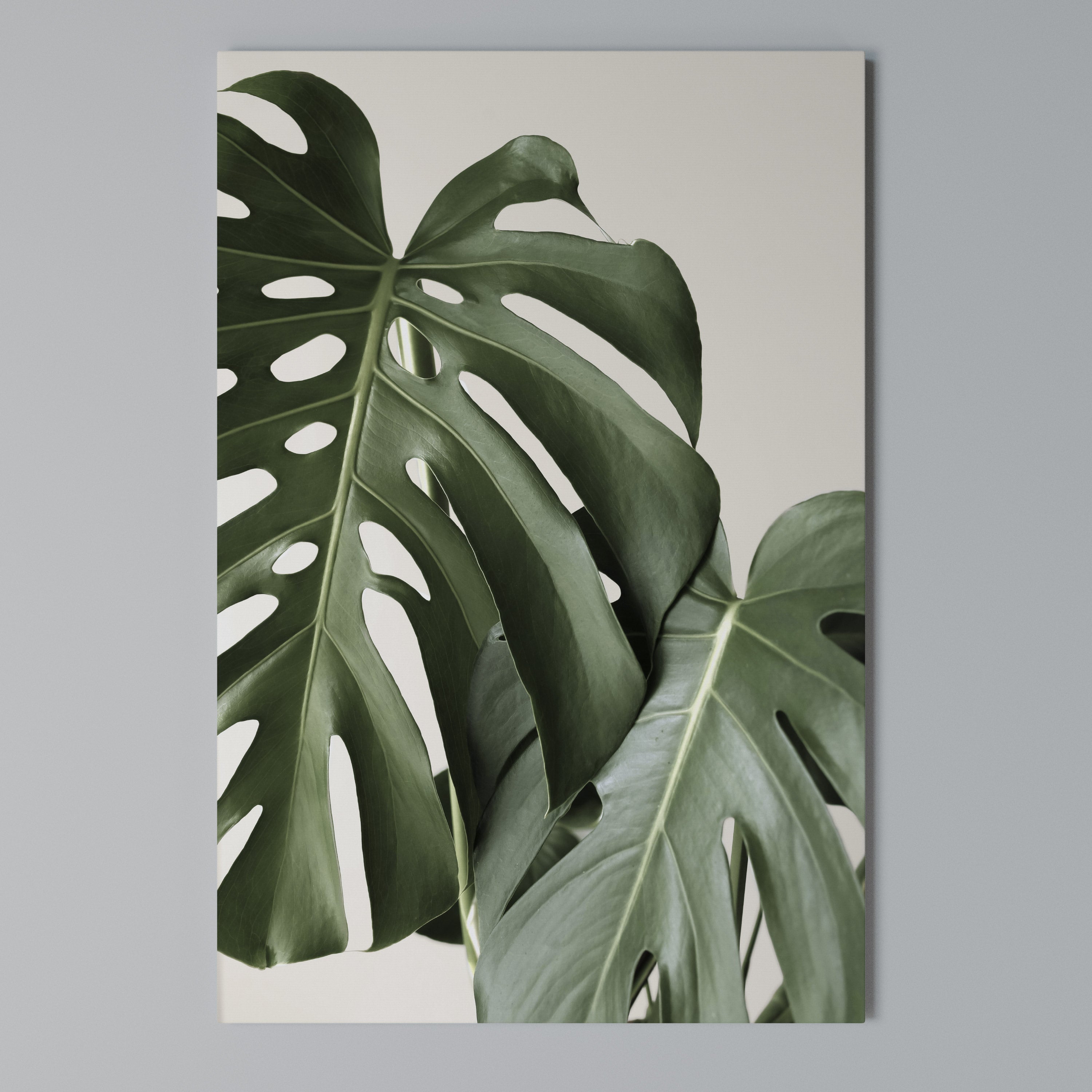 MONSTERA ACCURACY Vertical Canvas Print