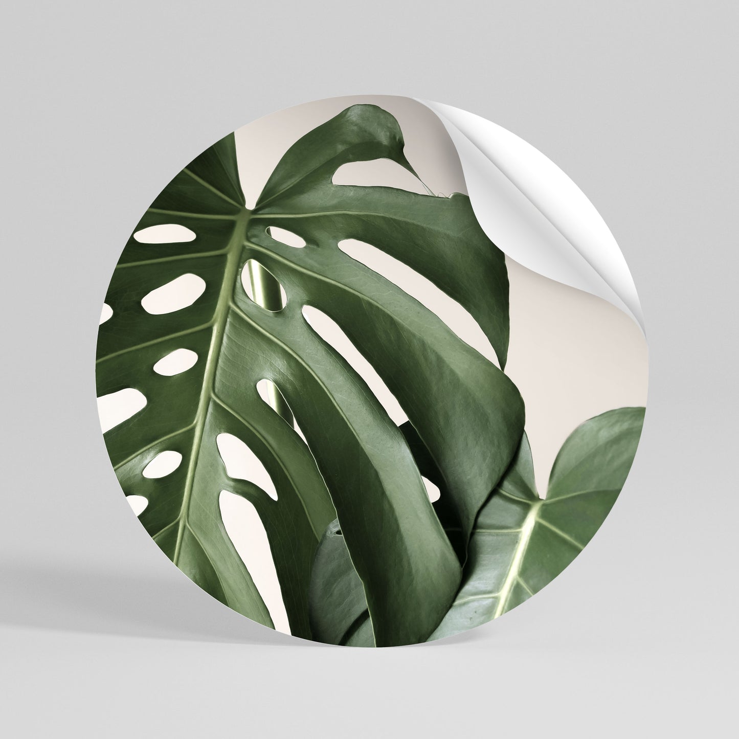 MONSTERA ACCURACY Runder Wandsticker zum Abziehen und Aufkleben