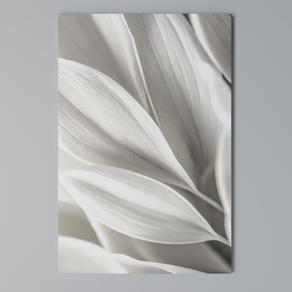WHISPERS OF WHITE Vertical Canvas Print