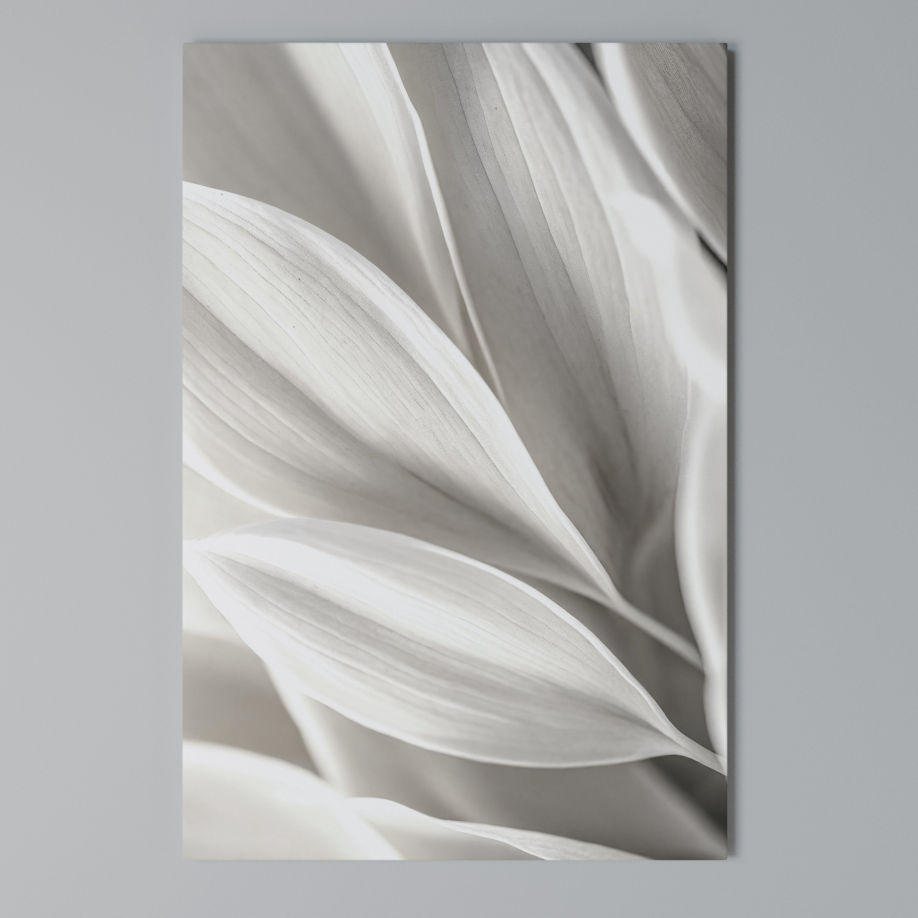 WHISPERS OF WHITE Vertical Canvas Print