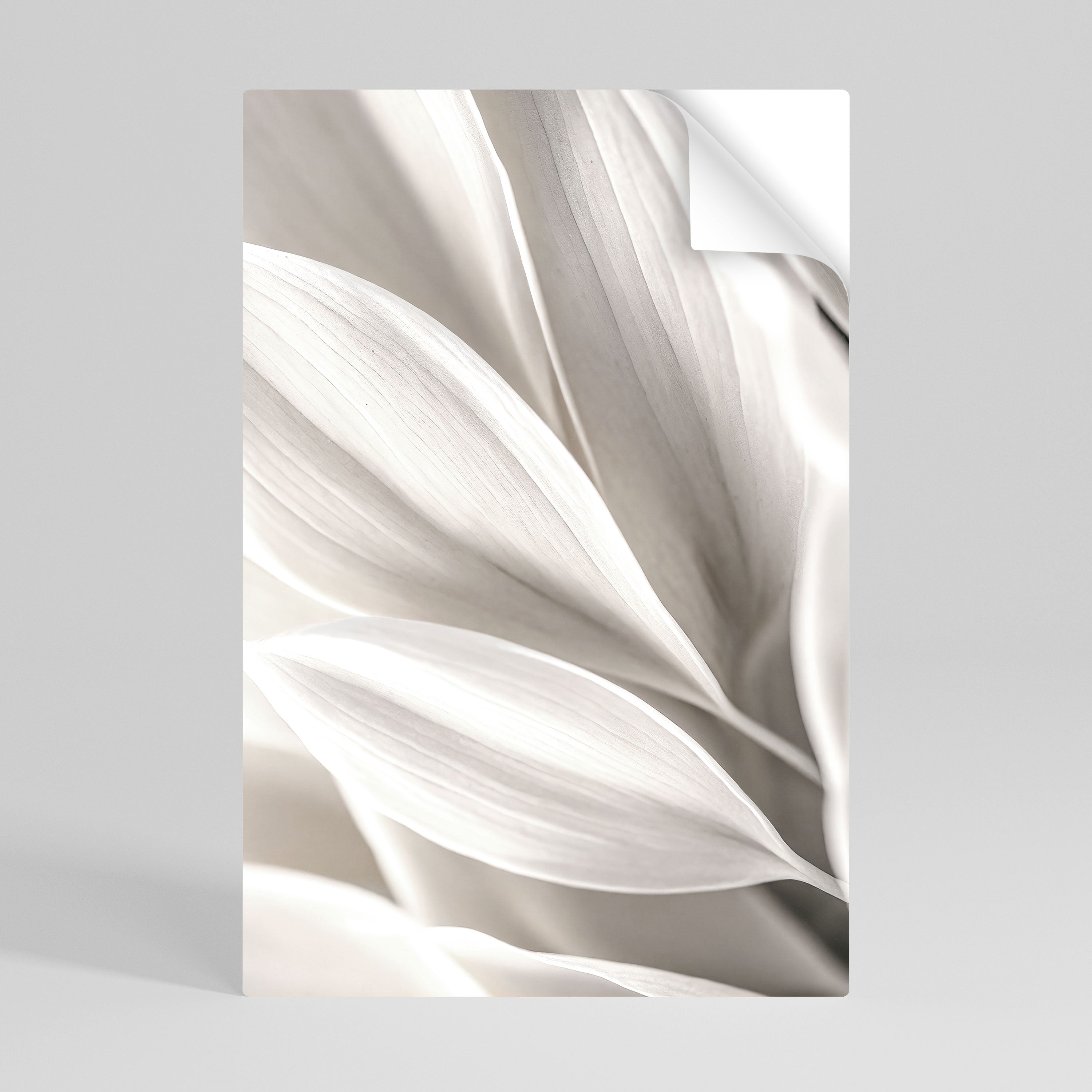 WHISPERS OF WHITE Vertikales Poster zum Abziehen und Aufkleben