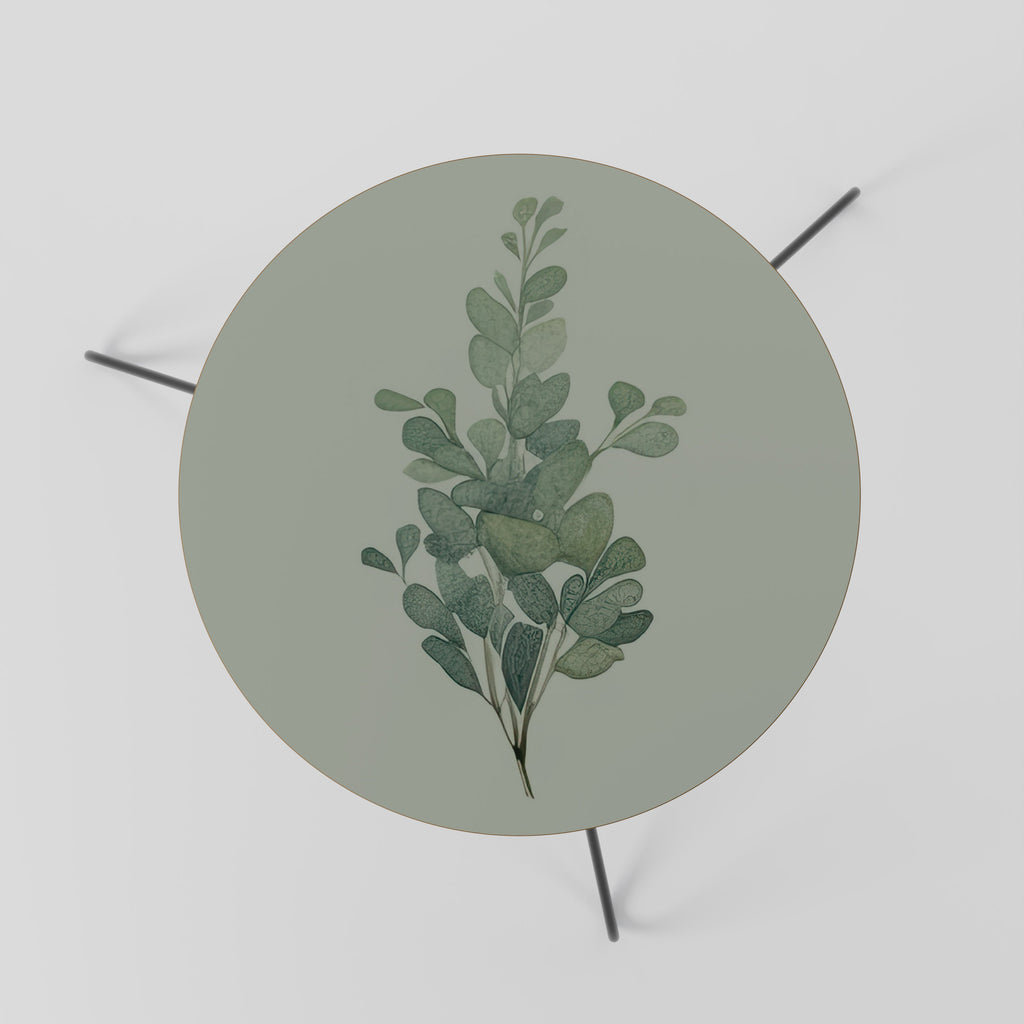 EUCALYPTUS TWIG Couchtisch 60