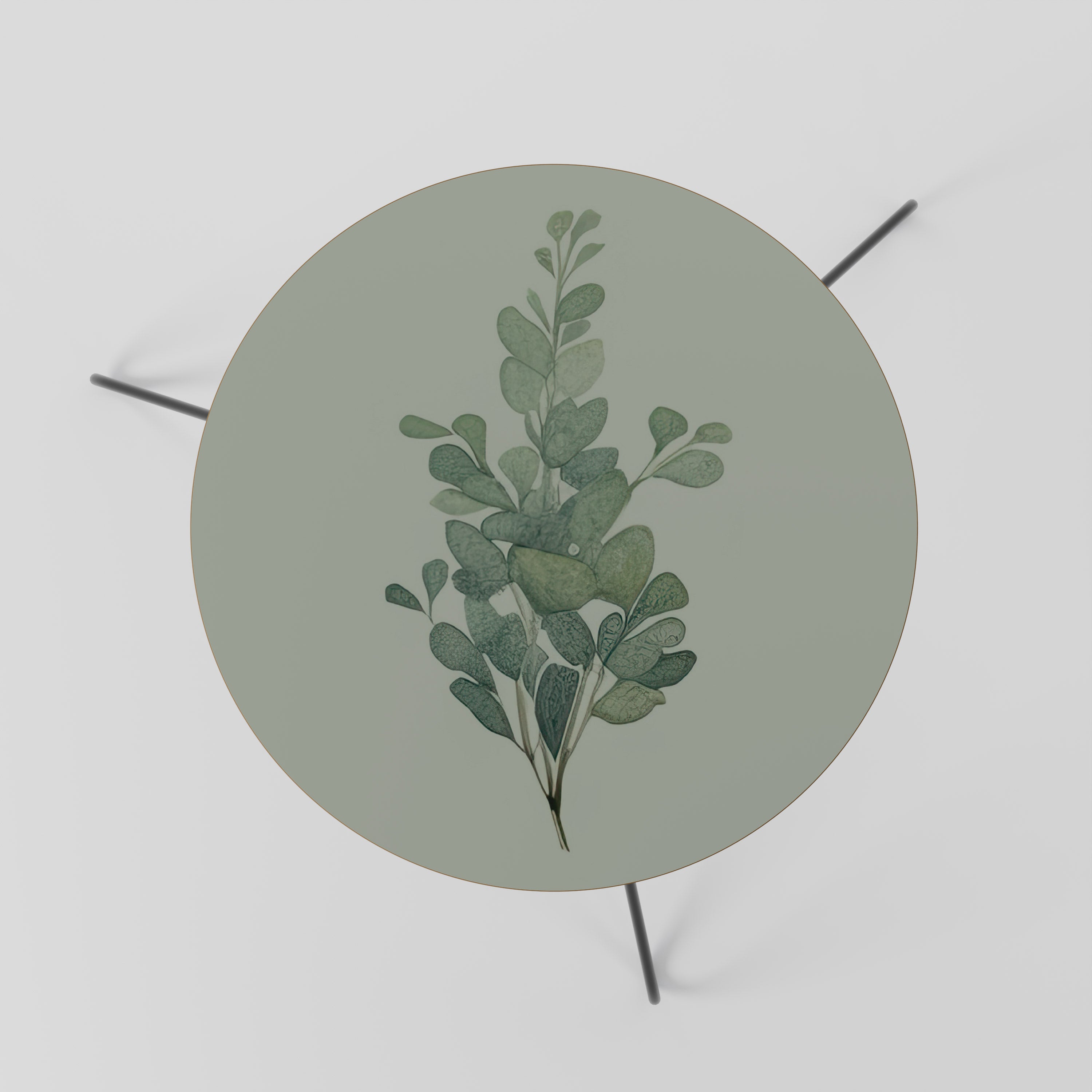 EUCALYPTUS TWIG Couchtisch 60