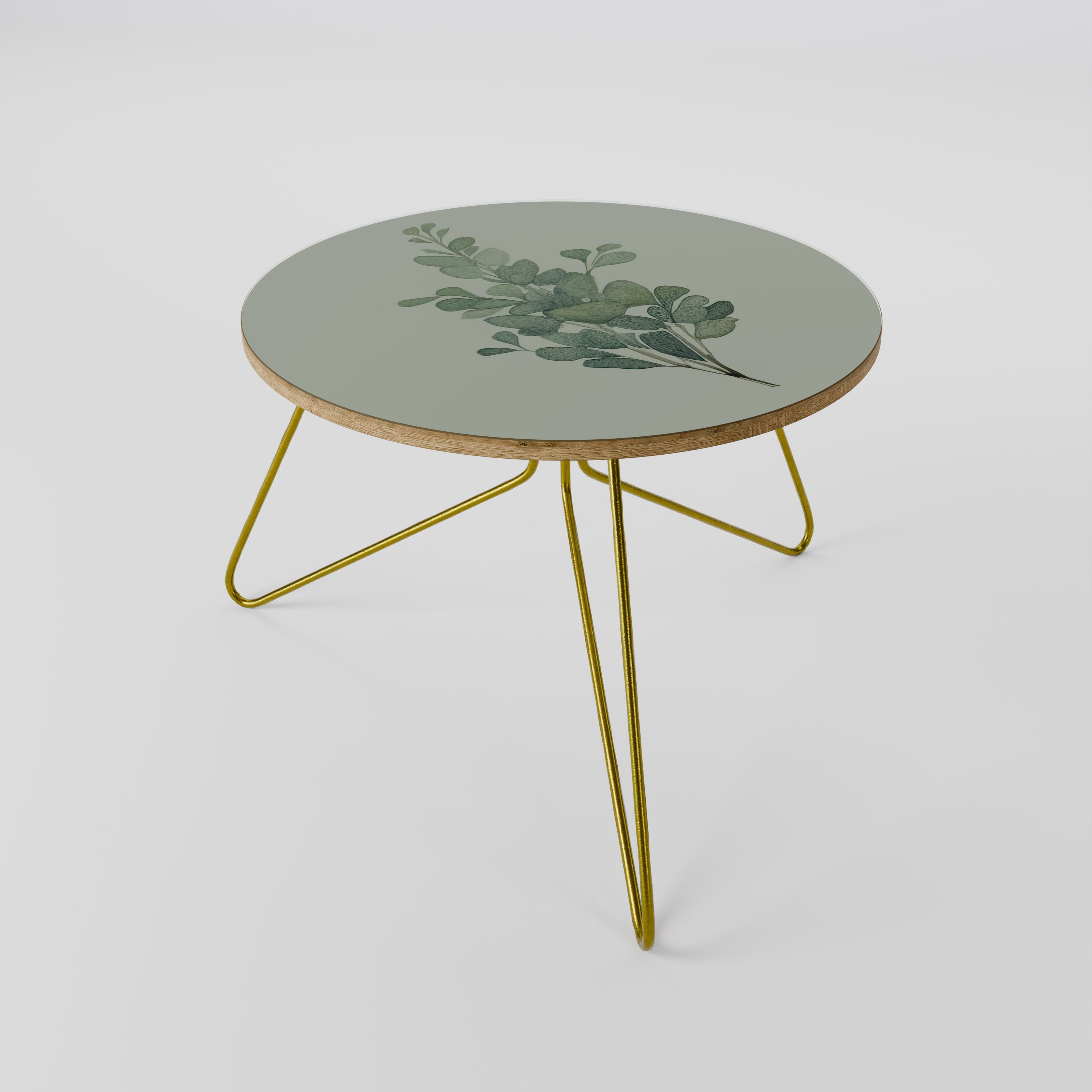 EUCALYPTUS TWIG Couchtisch 60