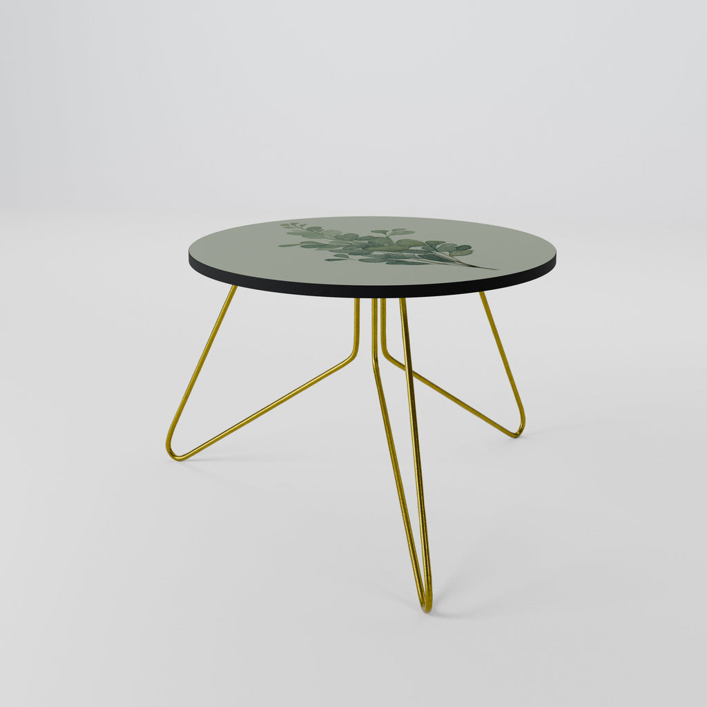 EUCALYPTUS TWIG Couchtisch 60