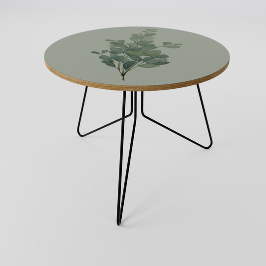 EUCALYPTUS TWIG Couchtisch
