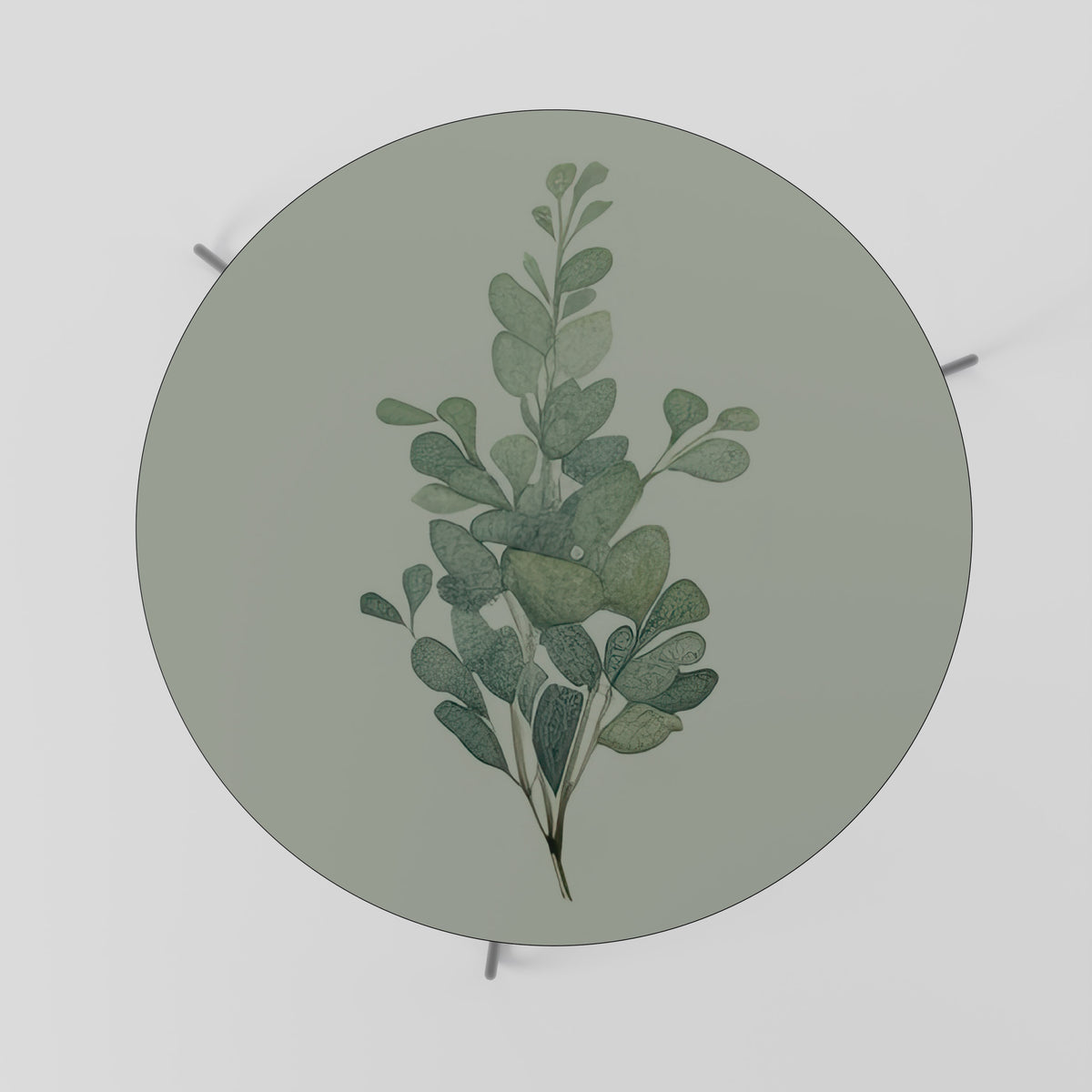EUCALYPTUS TWIG Couchtisch