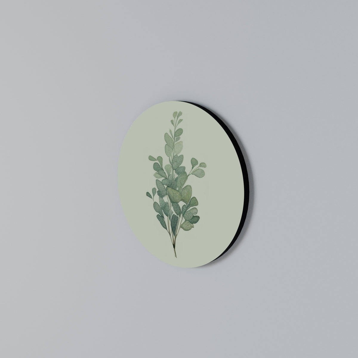 EUCALYPTUS TWIG Rundes Wandbild