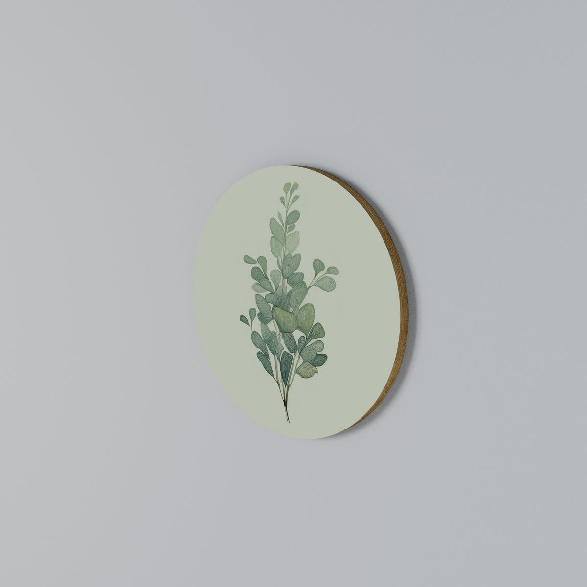 EUCALYPTUS TWIG Rundes Wandbild