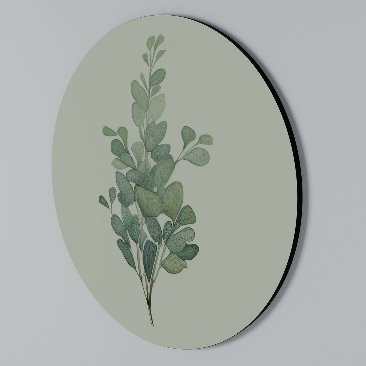 EUCALYPTUS TWIG Rundes Wandbild