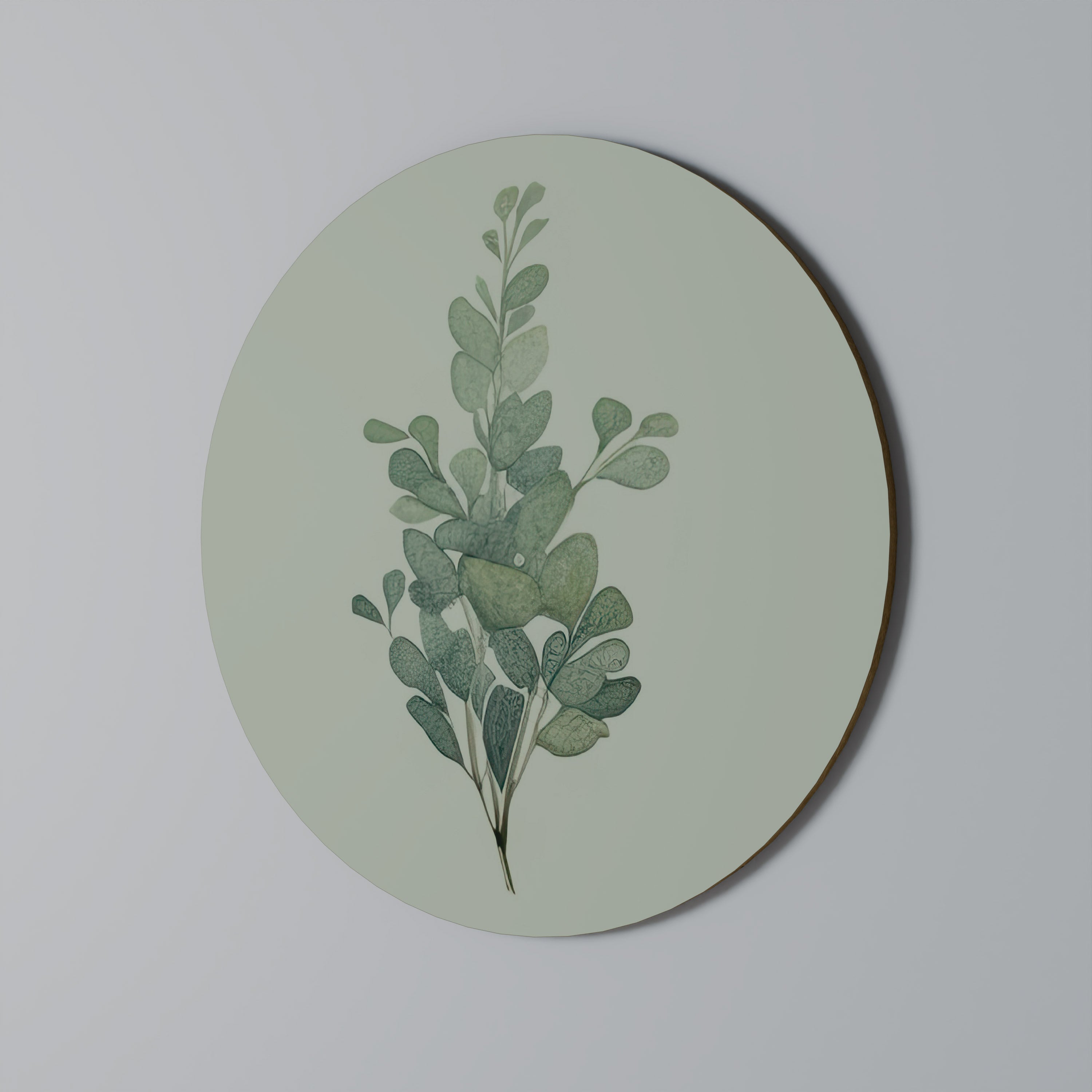 EUCALYPTUS TWIG Runde Wanddekoration Ø 69 cm