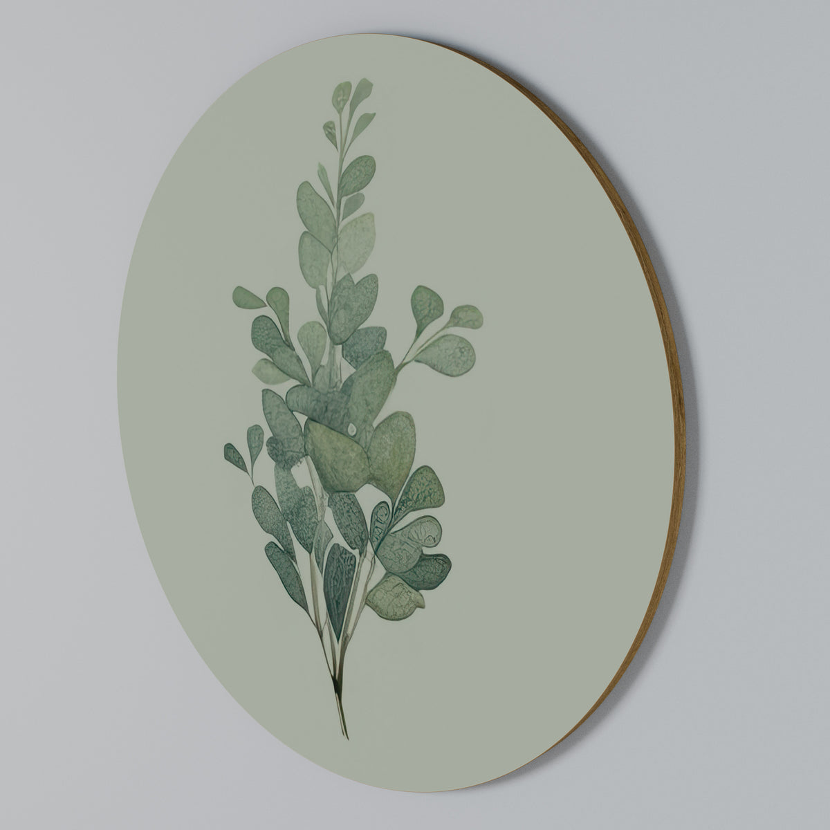 EUCALYPTUS TWIG Rundes Wandbild