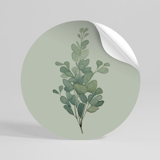EUCALYPTUS TWIG Runder Wandsticker zum Abziehen und Aufkleben