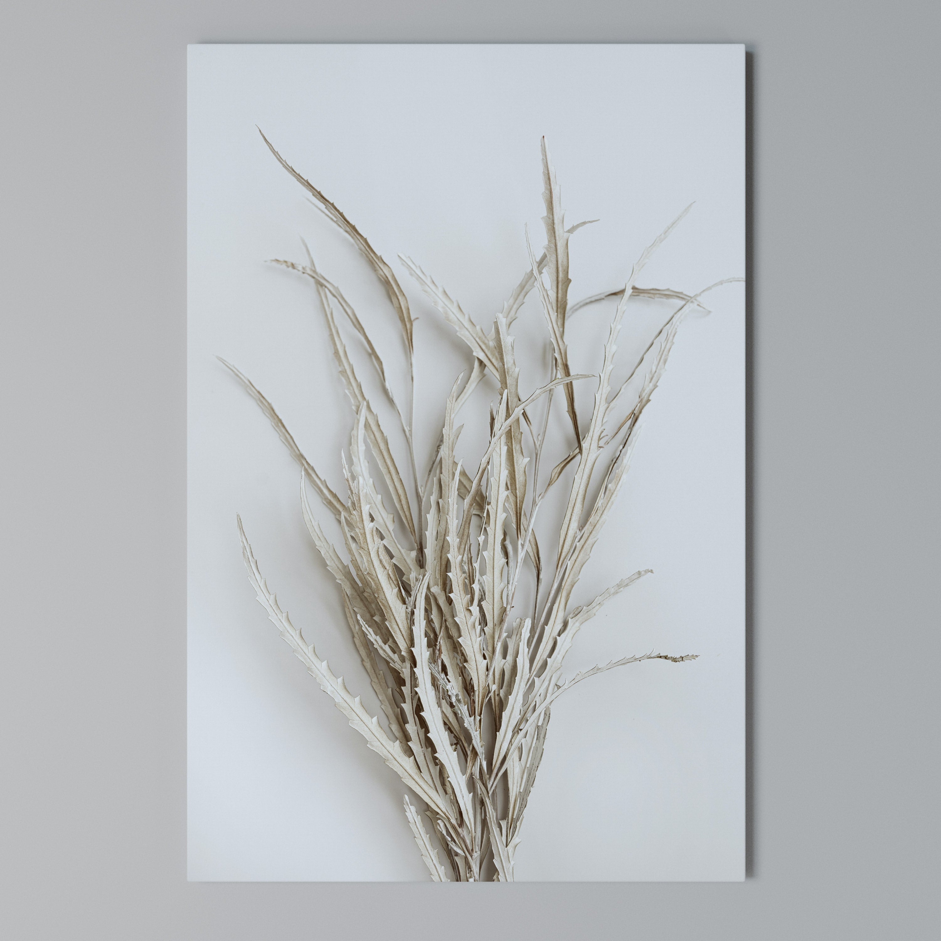 DRIED DREAMS DISPLAY Vertical Canvas Print