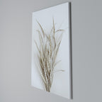 DRIED DREAMS DISPLAY Vertical Canvas Print