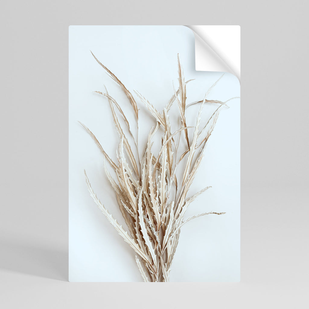 DRIED DREAMS DISPLAY Vertikales Poster zum Abziehen und Aufkleben