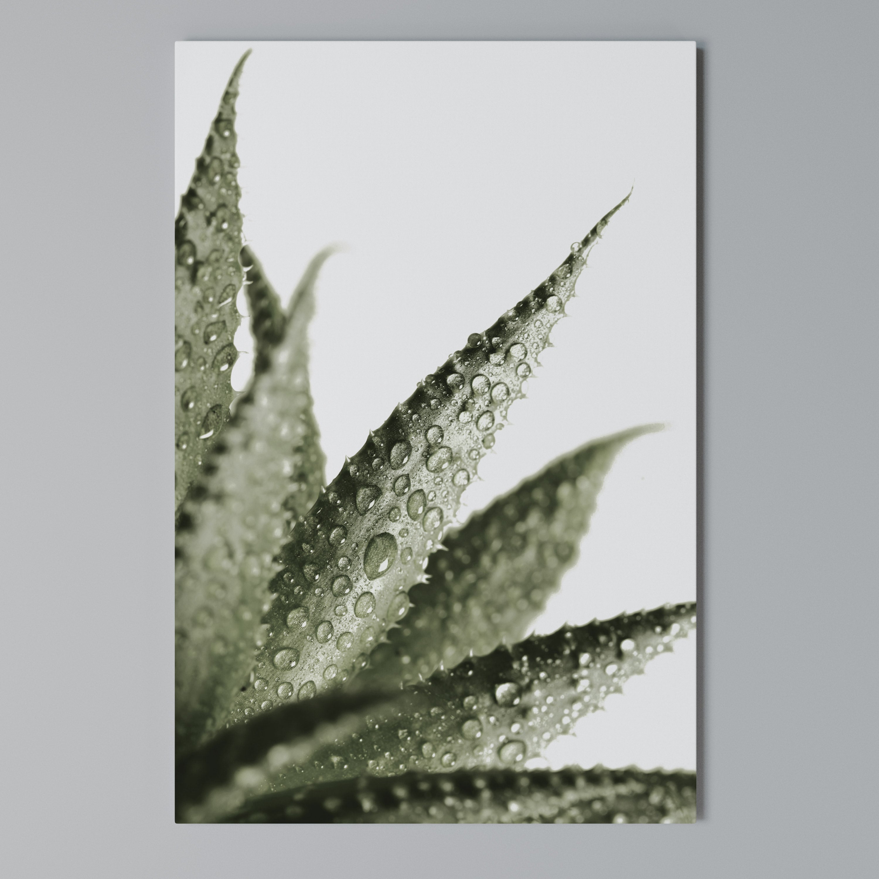 DEWDROP SYMPHONY Vertical Canvas Print