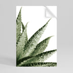 DEWDROP SYMPHONY Selbstklebendes Poster - Hochformat