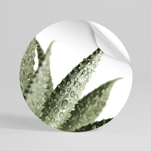 DEWDROP SYMPHONY Runder Wandsticker zum Abziehen und Aufkleben