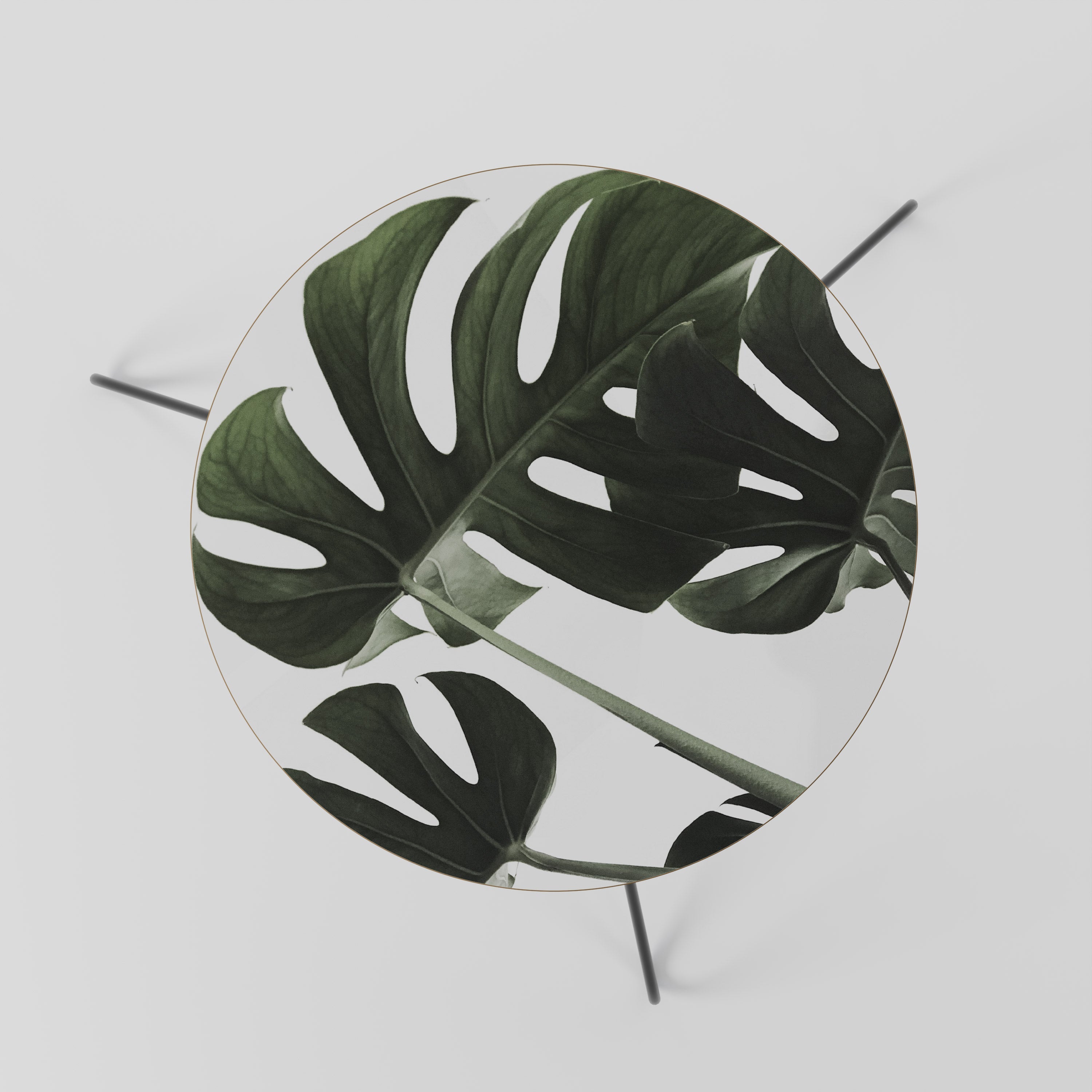 FOLIAGE FUSION Couchtisch 60