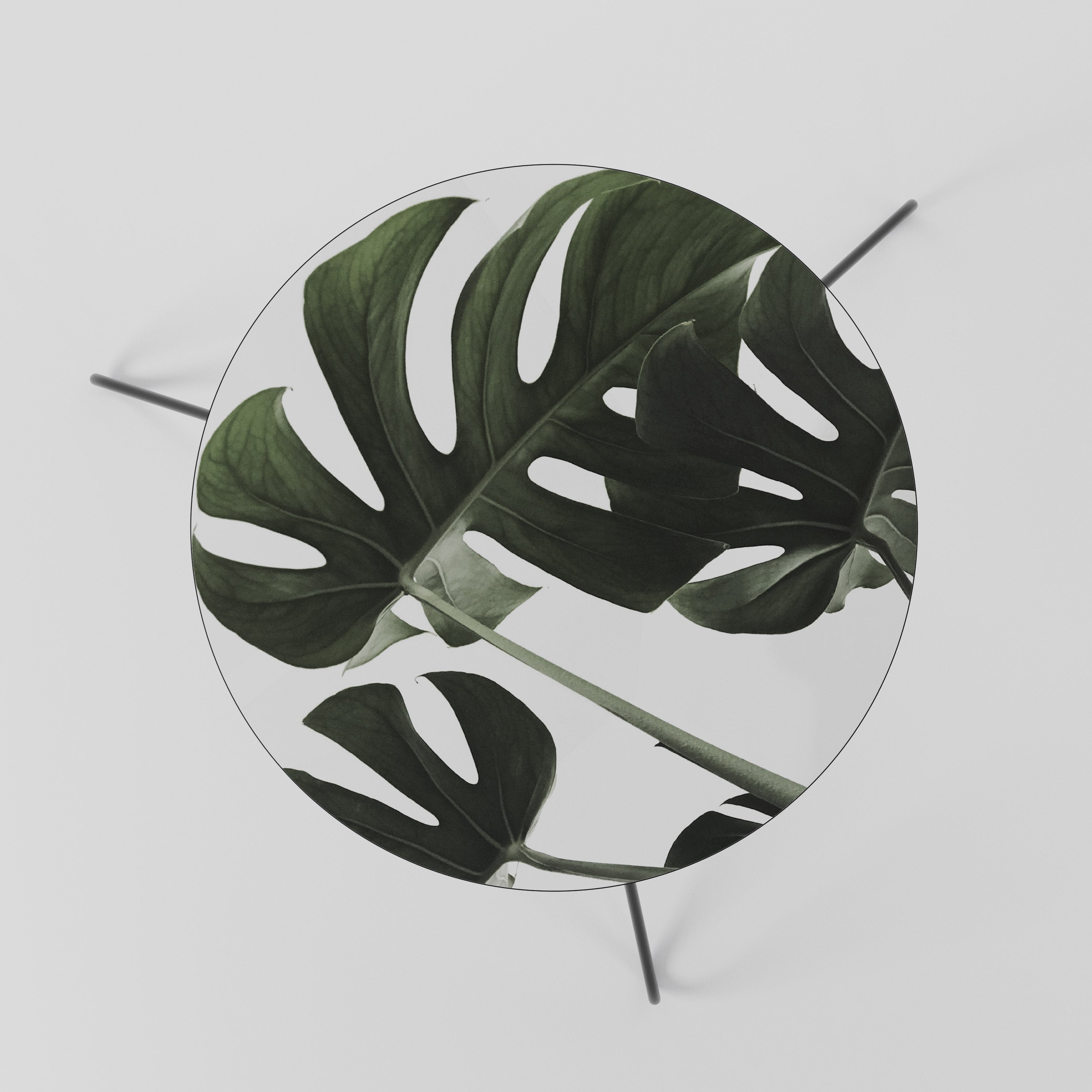 FOLIAGE FUSION Couchtisch 60