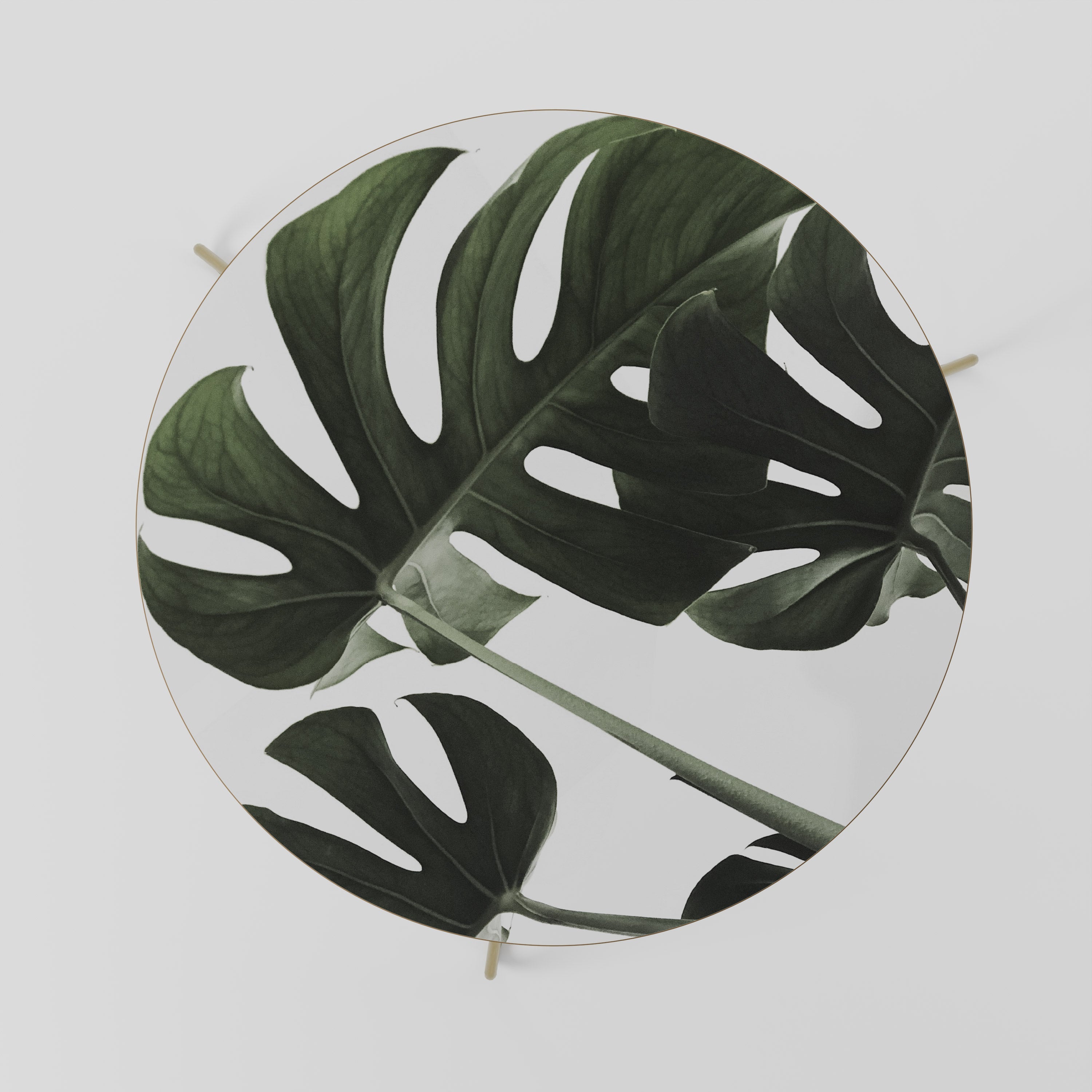 FOLIAGE FUSION Coffee Table 69