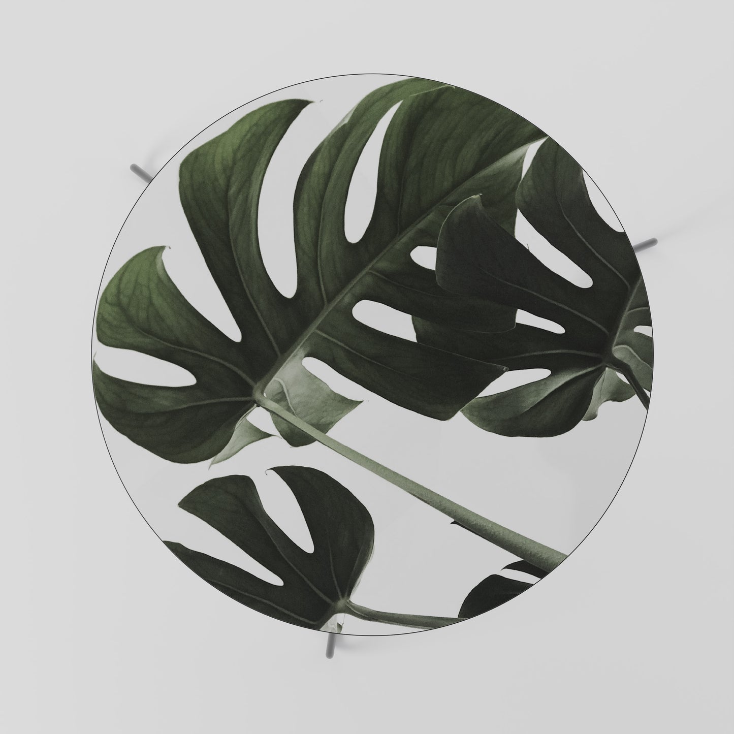 FOLIAGE FUSION Couchtisch