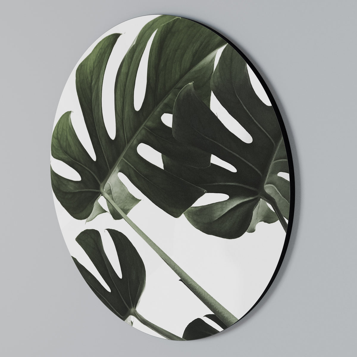 FOLIAGE FUSION Rundes Wandbild